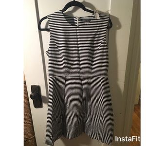 NWT Kate Spade Saturday Fit and Flare Dress